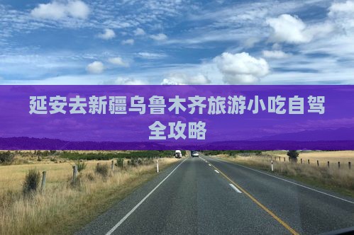 延安去新疆乌鲁木齐旅游小吃