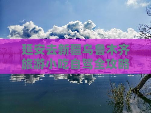 延安去新疆乌鲁木齐旅游小吃