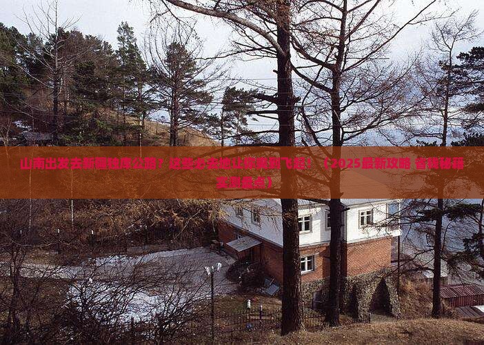 山南去新疆独库公路必去地
