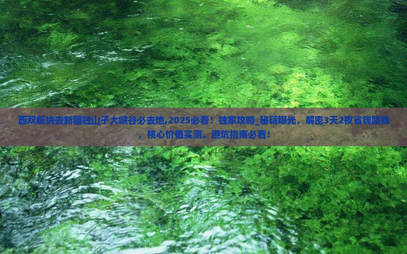 西双版纳去新疆独山子大峡谷必去地