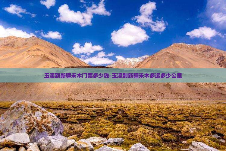 玉溪到新疆禾木门票