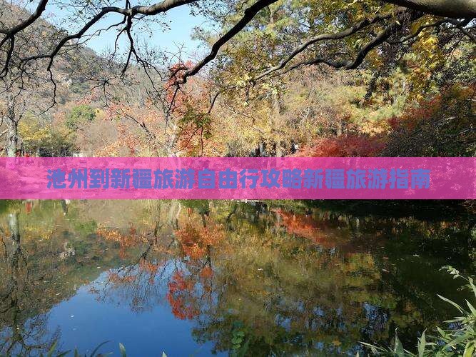 池州去新疆自由团