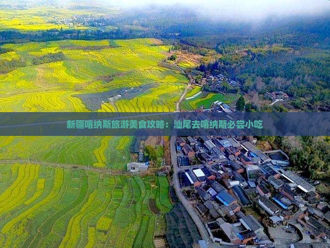 汕尾去新疆喀纳斯旅游小吃