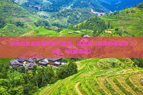 赣州到新疆伊犁大草原旅行社