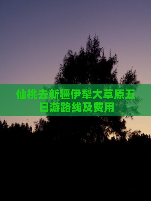 仙桃去新疆伊犁大草原五日游