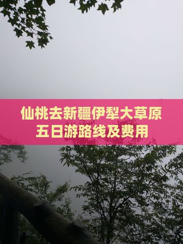 仙桃去新疆伊犁大草原五日游