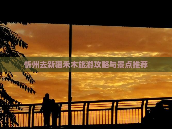 忻州去新疆禾木门票