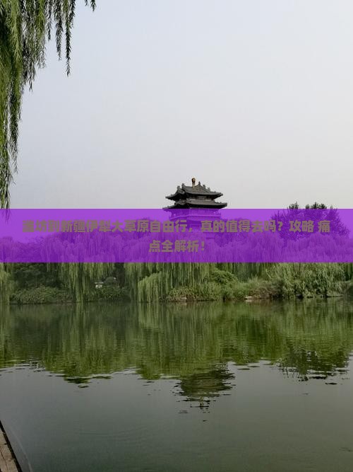 潍坊到新疆伊犁大草原自由行