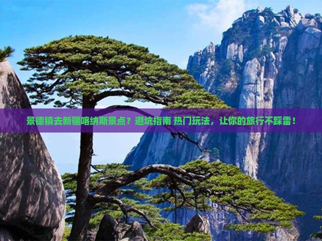 景德镇去新疆喀纳斯景点