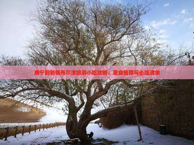 南宁到新疆布尔津旅游小吃
