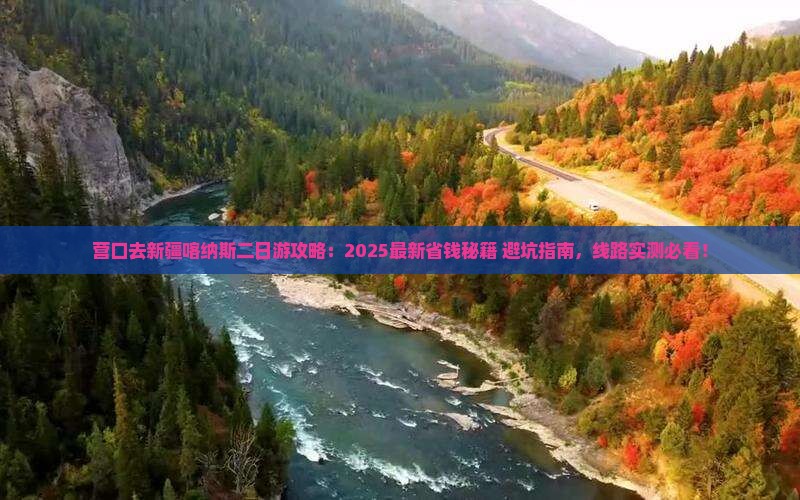 营口去新疆喀纳斯二日游