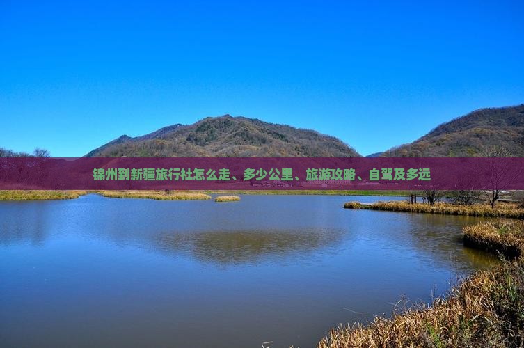 锦州到新疆旅行社