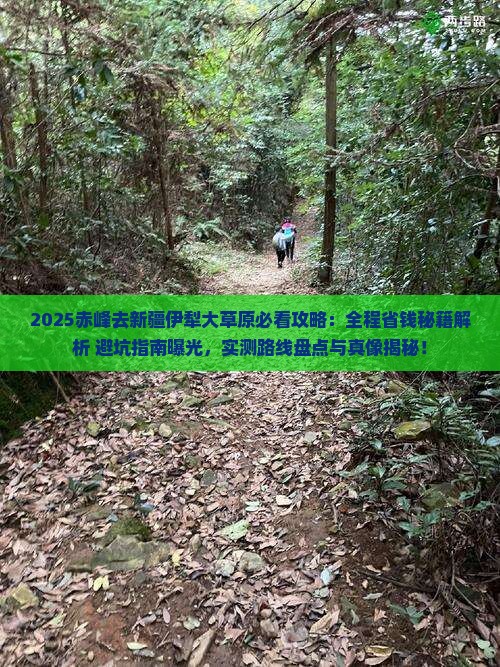 赤峰去新疆伊犁大草原攻略