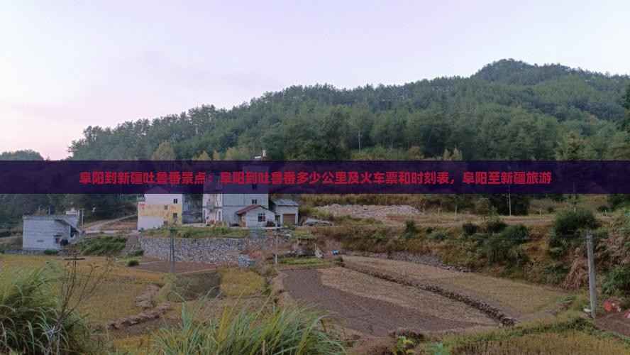 阜阳到新疆吐鲁番景点