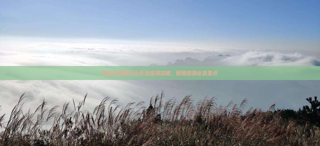 通化到新疆天山天池自由团
