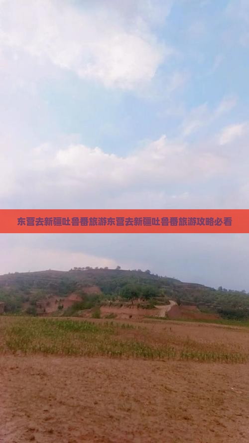 东营去新疆吐鲁番旅游