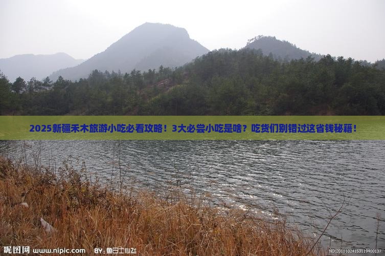 朝阳去新疆禾木旅游小吃