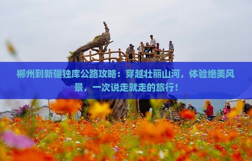 郴州到新疆独库公路攻略