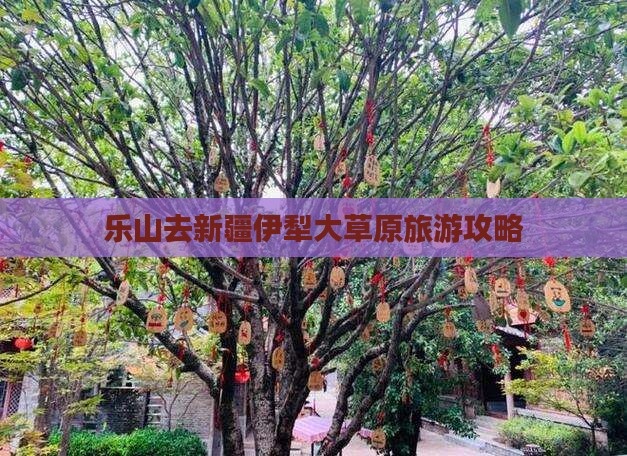乐山去新疆伊犁大草原自由行