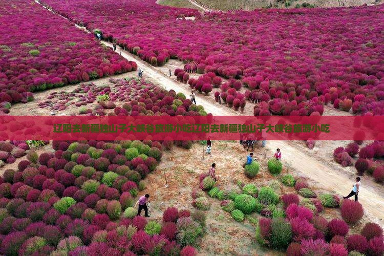 辽阳去新疆独山子大峡谷旅游小吃