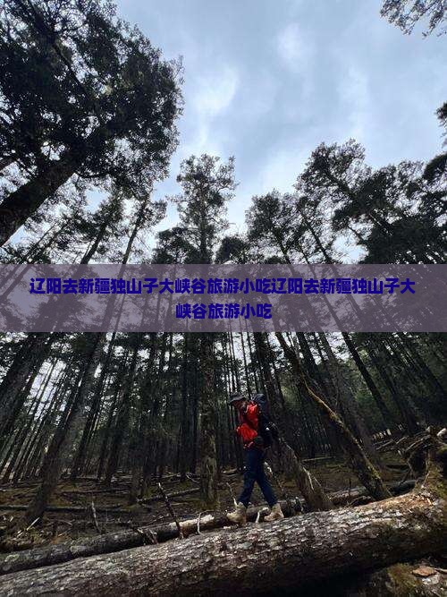 辽阳去新疆独山子大峡谷旅游小吃