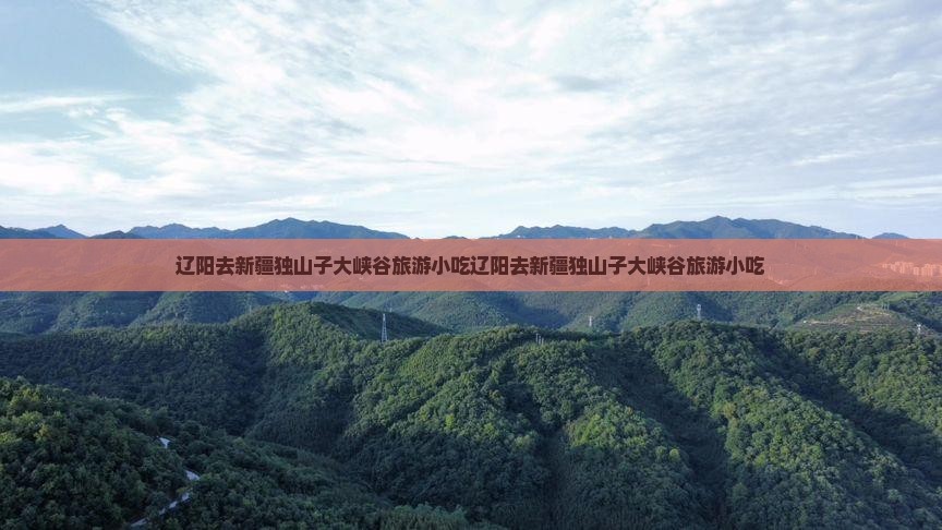 辽阳去新疆独山子大峡谷旅游小吃