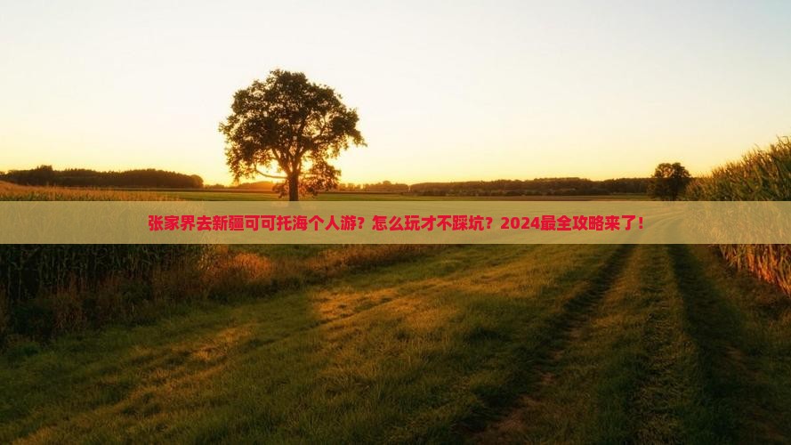 张家界去新疆可可托海个人游