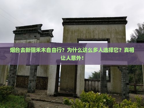 烟台去新疆禾木自由行