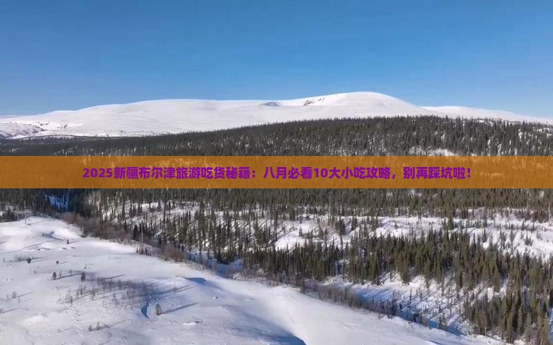 八月到新疆布尔津旅游小吃