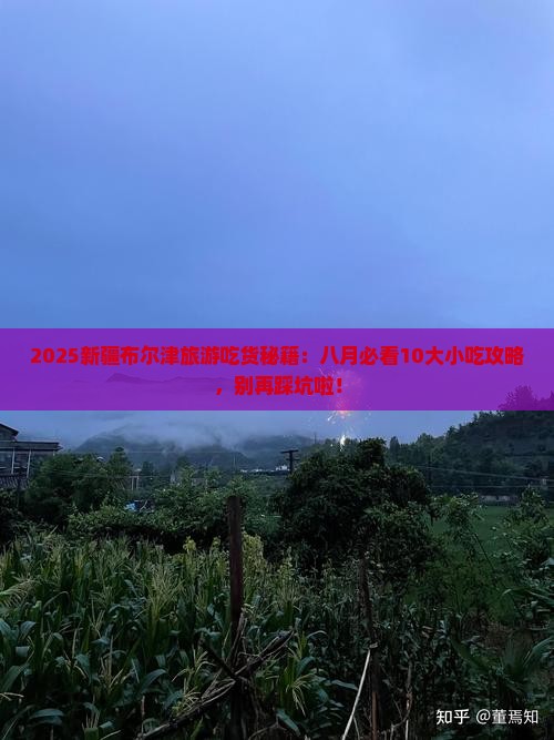 八月到新疆布尔津旅游小吃