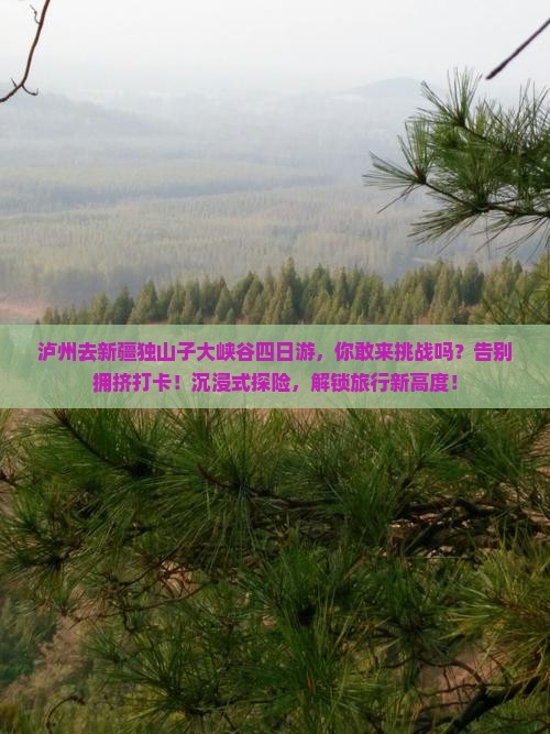 泸州去新疆独山子大峡谷四日游