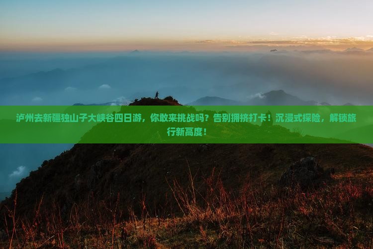泸州去新疆独山子大峡谷四日游
