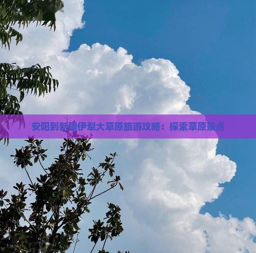 安阳到新疆伊犁大草原景点