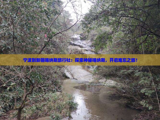 宁波到新疆喀纳斯旅行社