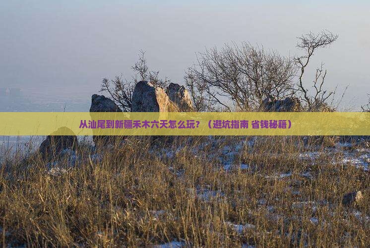 汕尾去新疆禾木六日游