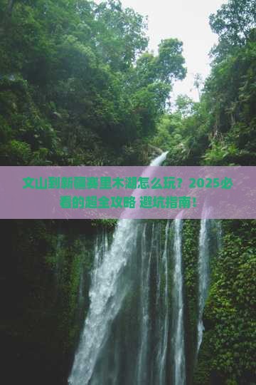 文山到新疆赛里木湖旅行社