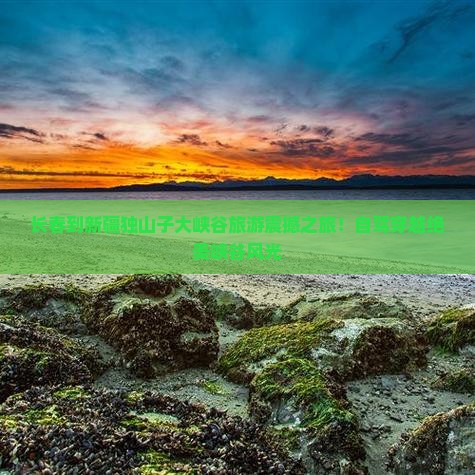 长春到新疆独山子大峡谷旅游