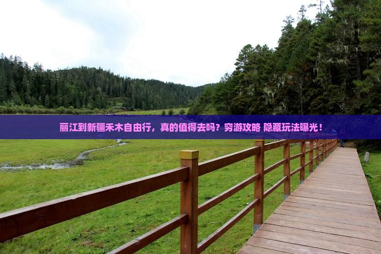 丽江到新疆禾木自由行