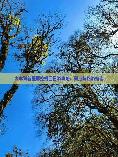 大丰到新疆那拉提四日游