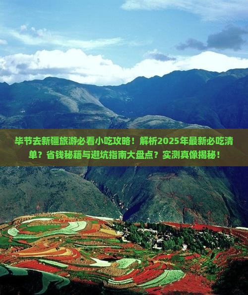 毕节去新疆旅游小吃