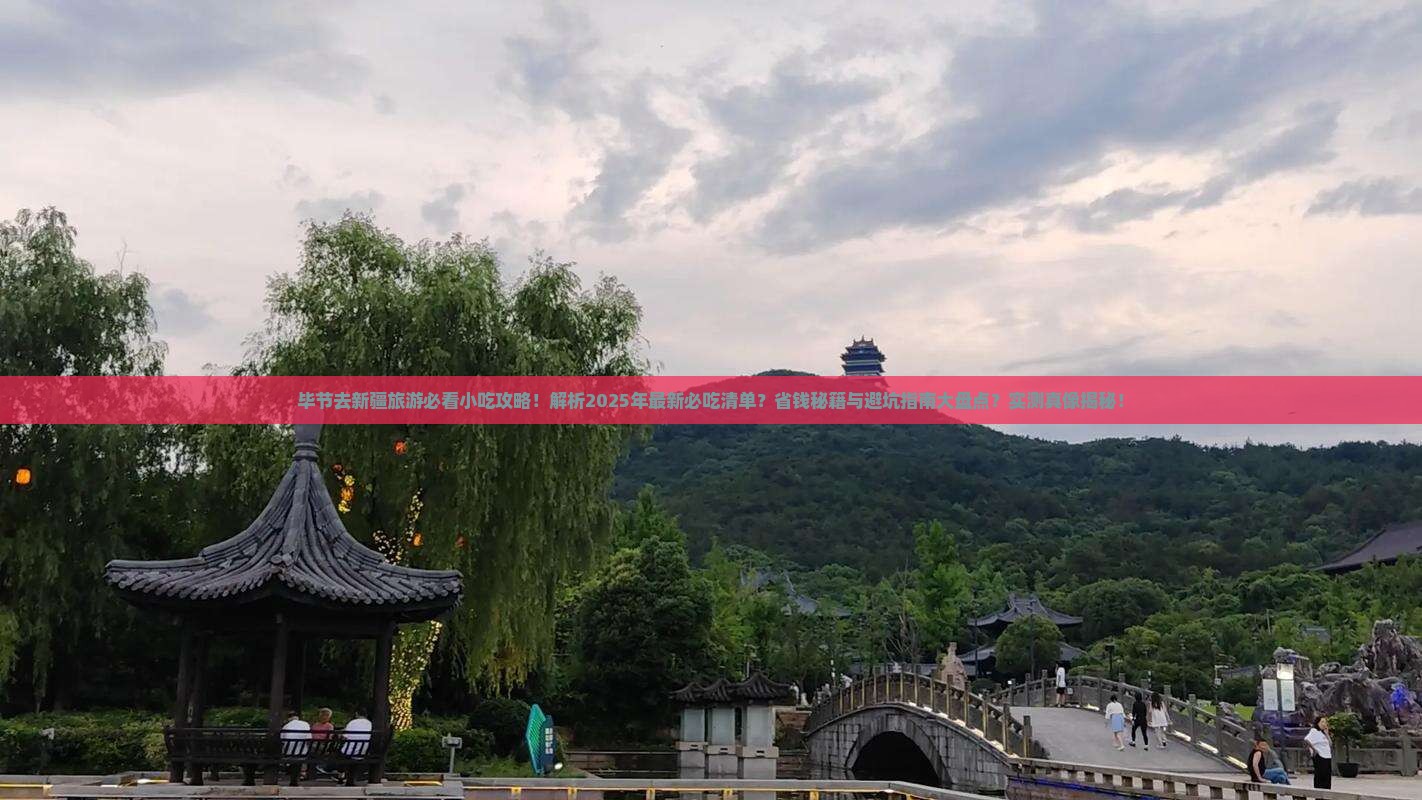 毕节去新疆旅游小吃