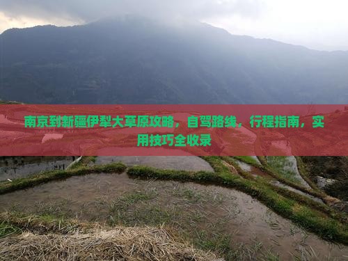 南京到新疆伊犁大草原攻略