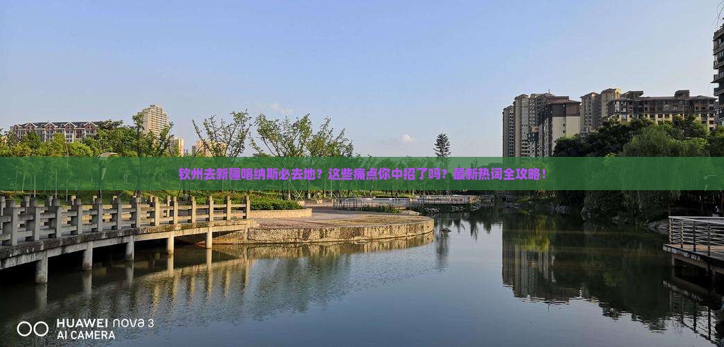 钦州去新疆喀纳斯必去地