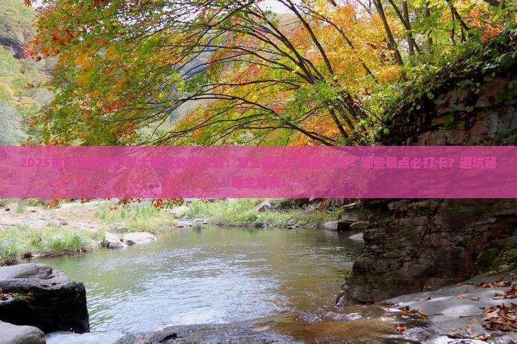 重庆去新疆伊犁大草原必去地