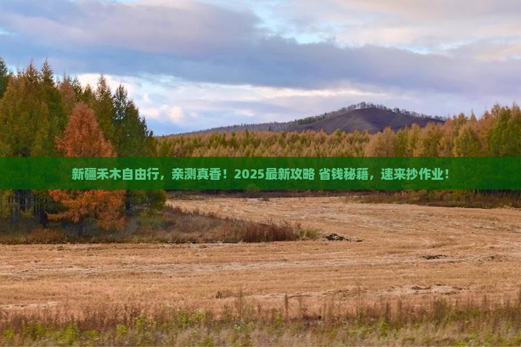 常德去新疆禾木自由行