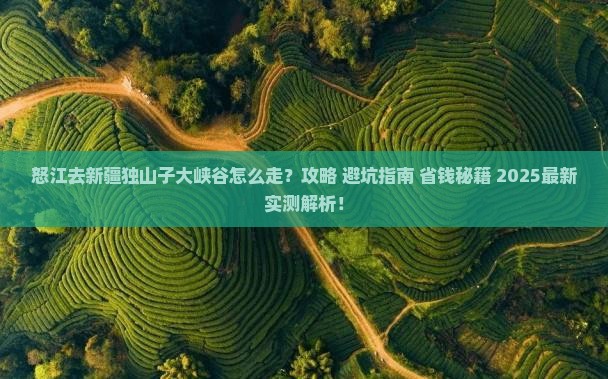 怒江去新疆独山子大峡谷旅行社