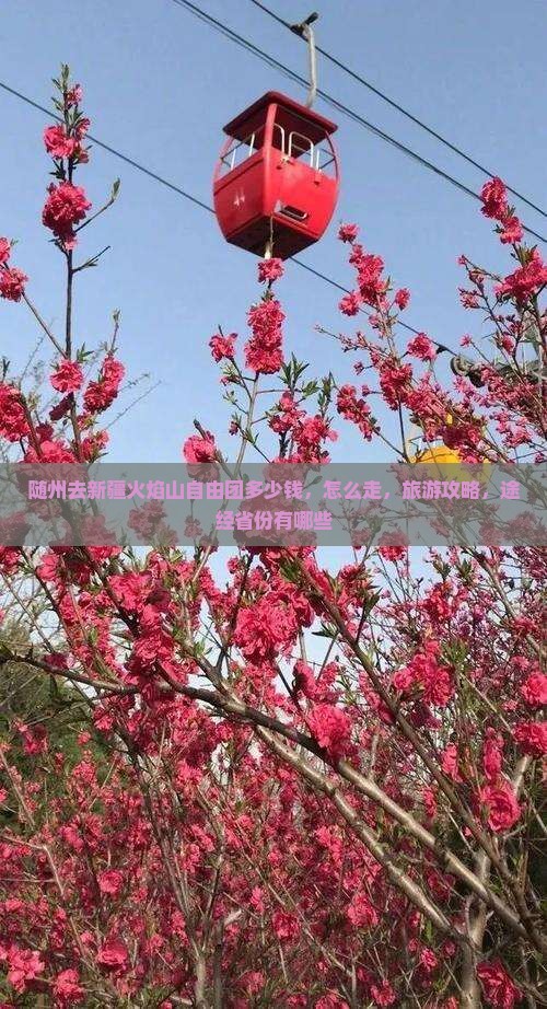 随州去新疆火焰山自由团