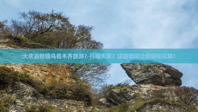 大庆去新疆乌鲁木齐旅游