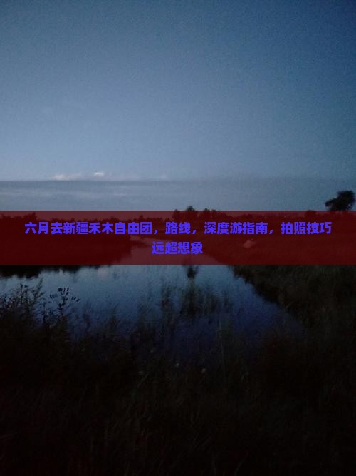 六月去新疆禾木自由团