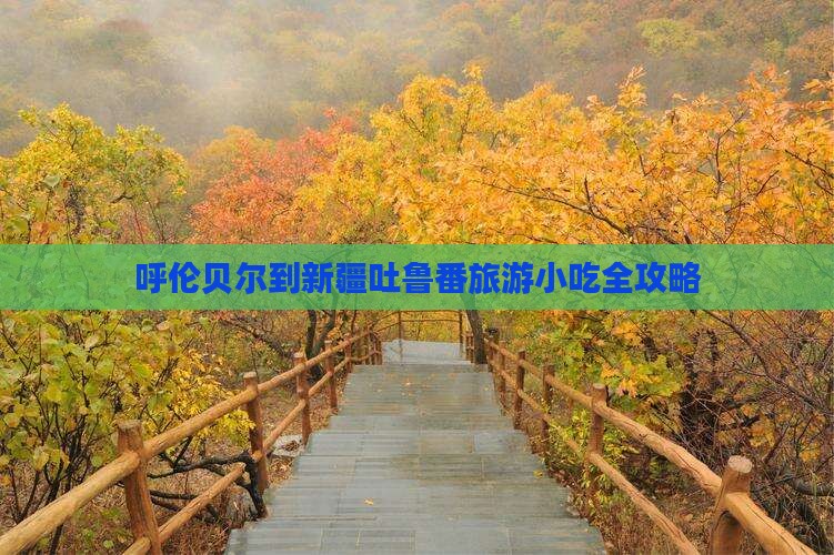 呼伦贝尔到新疆吐鲁番旅游小吃
